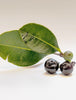 Reasons Why Açaí Berry Is A Superfood
