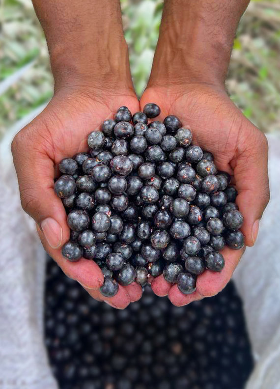 acai berries